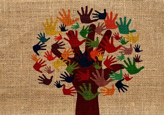 Premios de voluntariado convocados por la Universidad Complutense de Madrid